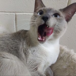 Meet your Posher, Mariah